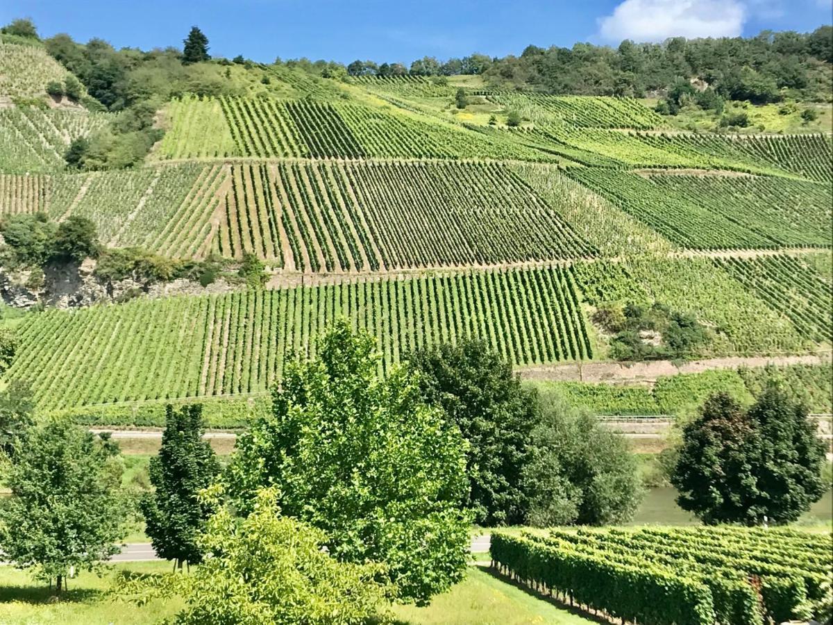 Köwerich Weinlofts An Der Mosel Mit E10 Ladestation 아파트 외부 사진