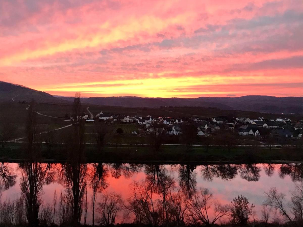 Köwerich Weinlofts An Der Mosel Mit E10 Ladestation 아파트 외부 사진